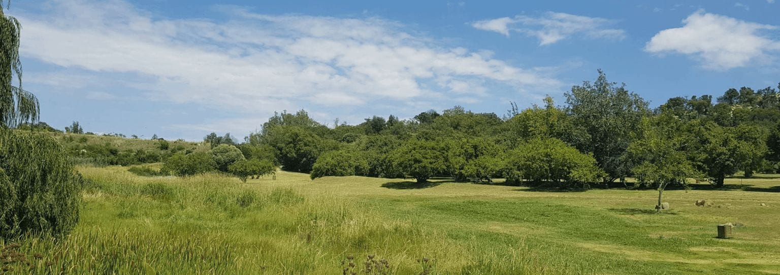 Golden Harvest Park in Randburg | What's on in Joburg